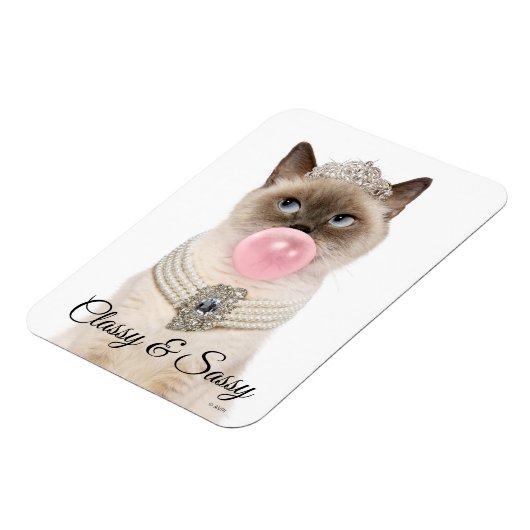 Princess Cat Bgloebel gom Magneet (Linkerzijde)