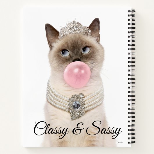 Princess Cat Bgloebel gom Notitieboek (Achterkant)