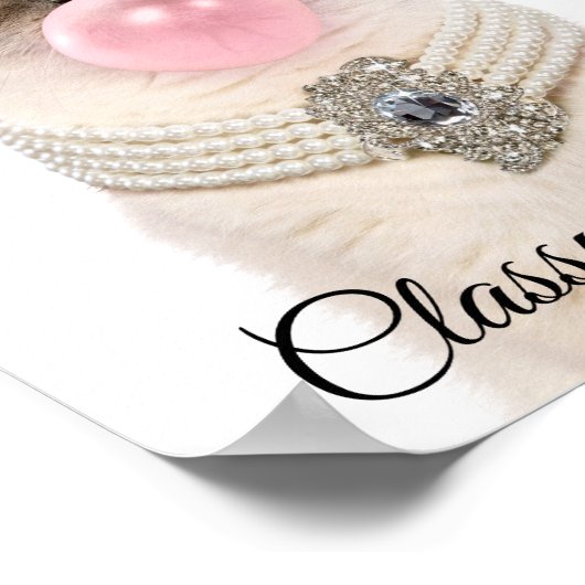 Princess Cat Bgloebel gom Poster (Hoek)