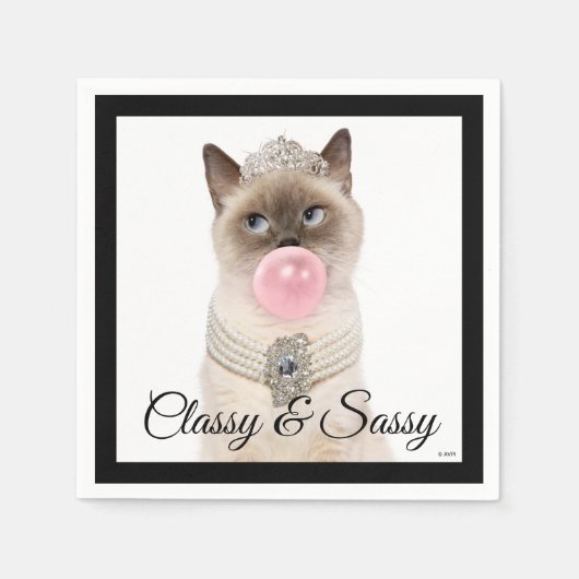 Princess Cat Bgloebel gom Servet (Voorkant)