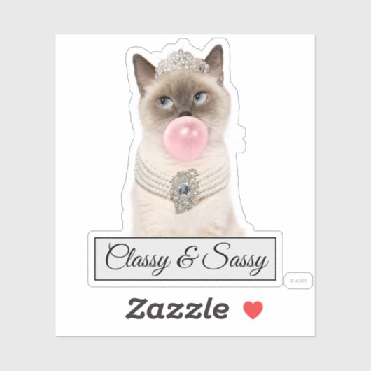 Princess Cat Bgloebel gom Sticker (Vel)