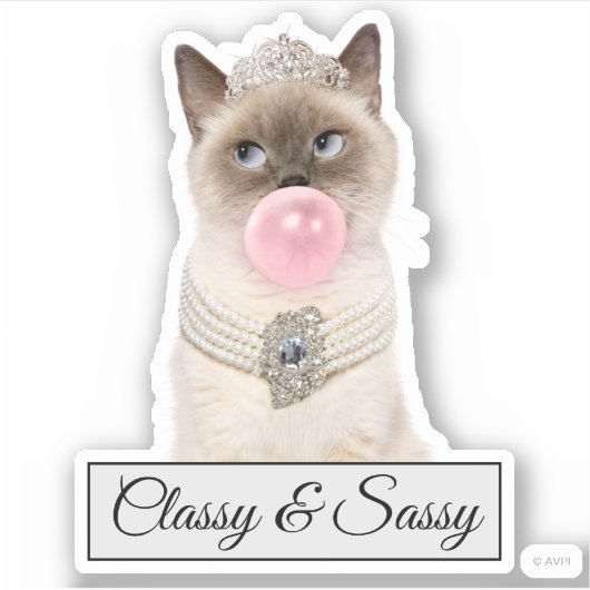 Princess Cat Bgloebel gom Sticker (Voorkant)