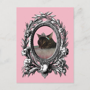 Princess Cat  Lijst roze achtergrond Briefkaart