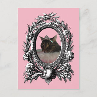 Princess Cat Lijst roze achtergrond Briefkaart