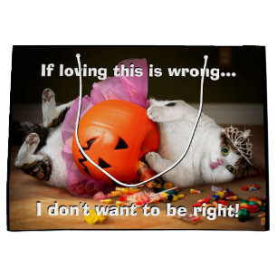 Princess Cat met Snoep Bucket Groot Cadeauzakje