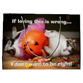 Princess Cat met Snoep Bucket Groot Cadeauzakje (Achterkant)