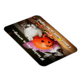 Princess Cat met Snoep Bucket Magneet (Rechterzijde)