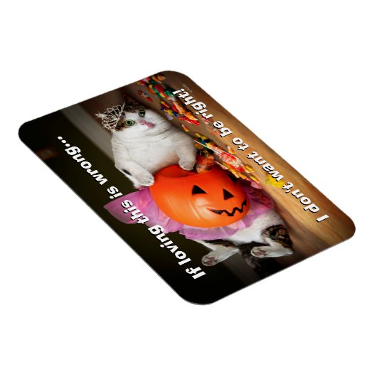 Princess Cat met Snoep Bucket Magneet (Rechterzijde)