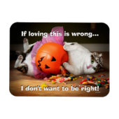 Princess Cat met Snoep Bucket Magneet (Horizontaal)