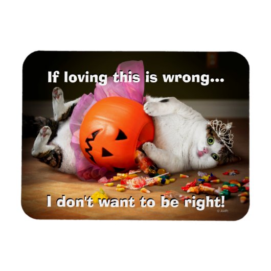 Princess Cat met Snoep Bucket Magneet (Horizontaal)