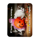 Princess Cat met Snoep Bucket Magneet (Verticaal)