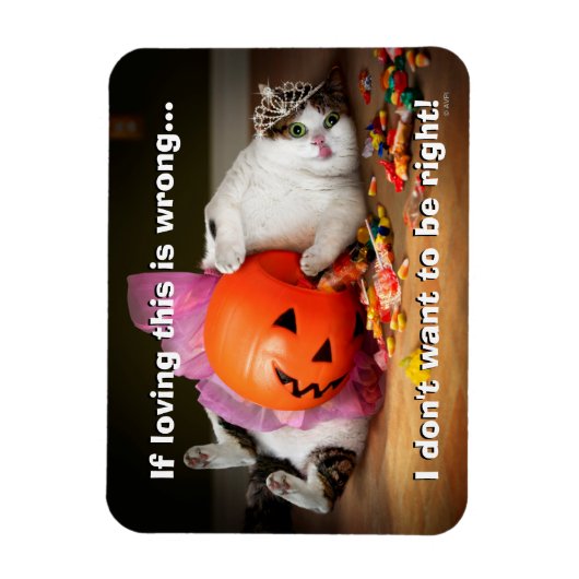 Princess Cat met Snoep Bucket Magneet (Verticaal)