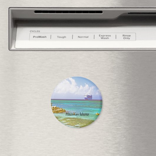 Princess Caye Magneet (Insitu (Vaatwasser))