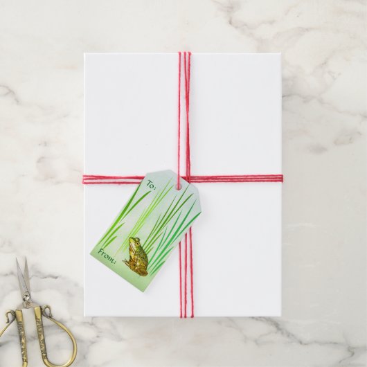 Princess Charming Frog Pack of Gift Labels Cadeaulabel (Met Touw)