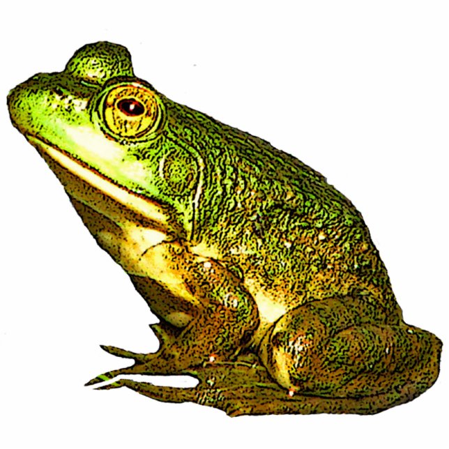 Princess Charming kerst Hanging Acryllic Fotobeeldje Ornament (Voorkant)