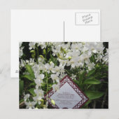 "Princess Diana" Orchid Garden, Singapore Briefkaart (Voorkant / Achterkant)