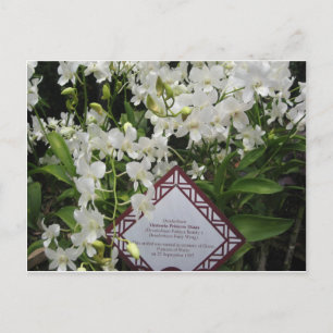 "Princess Diana" Orchid Garden, Singapore Briefkaart