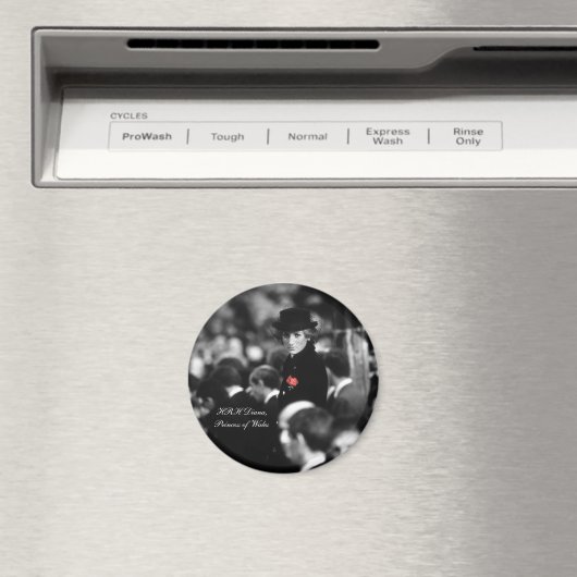 Princess Diana - Poppy Magneet (Insitu (Vaatwasser))