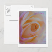 Princess Diana Roos Briefkaart (Voorkant / Achterkant)