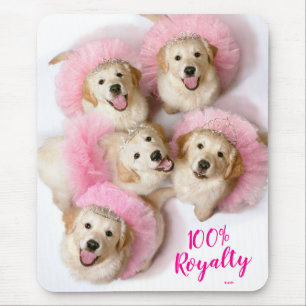 Princess Dogs in Tiaras Muismat
