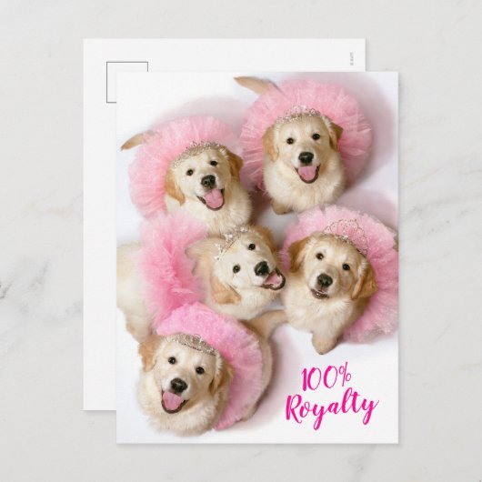 Princess Dogs in Tiaras Uitnodiging Briefkaart (Voorkant / Achterkant)