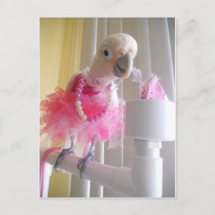 Princess Ella Briefkaart