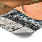 Princess en Dragon Poster (Hoek)