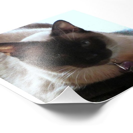 Princess Foto Afdruk (Hoek)