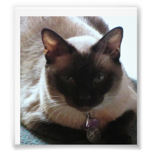 Princess Foto Afdruk (Voorkant)