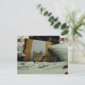 Princess Indigo Briefkaart (Staand voorkant)