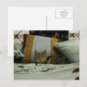 Princess Indigo Briefkaart (Voorkant / Achterkant)