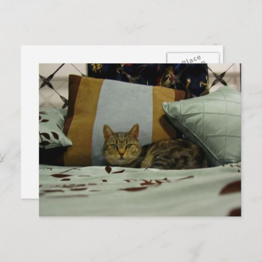 Princess Indigo Briefkaart (Voorkant / Achterkant)