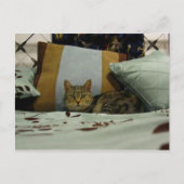 Princess Indigo Briefkaart (Voorkant)