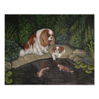 Princess & kikker: Cavalier King Charles Spaniel Foto Afdruk