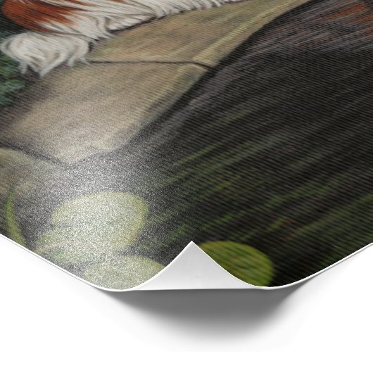 Princess & kikker: Cavalier King Charles Spaniel Foto Afdruk (Hoek)