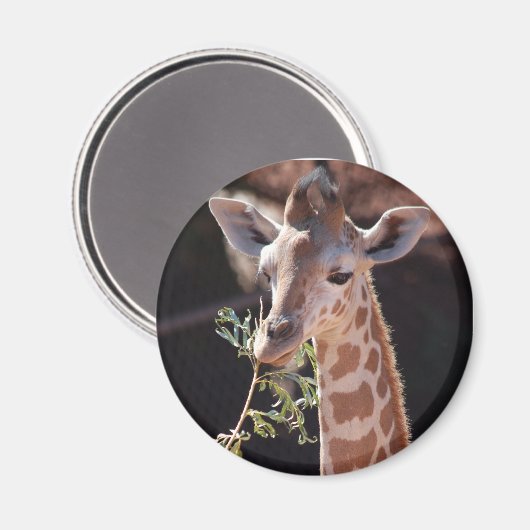 Princess Magnet #2 (Voorkant / Achterkant)