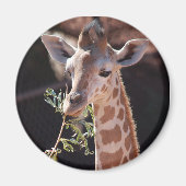 Princess Magnet #2 (Voorkant)