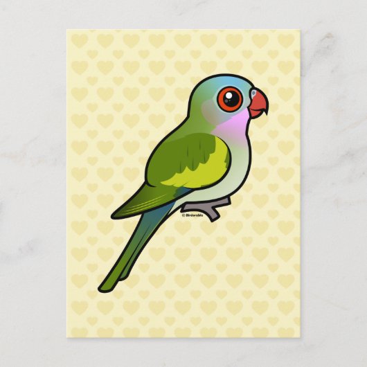 Princess Parrot Briefkaart (Voorkant)