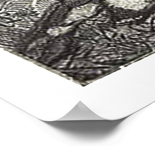 Princess & Pet Dragon Poster (Hoek)