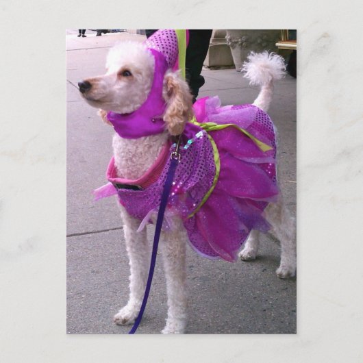 Princess Puppy Briefkaart (Voorkant)