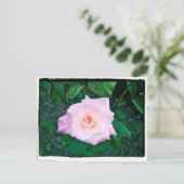 Princess Roos Briefkaart (Staand voorkant)