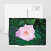 Princess Roos Briefkaart (Voorkant / Achterkant)