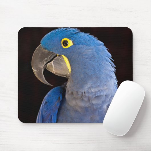 Princess Tara Mousepad Muismat (Met muis)