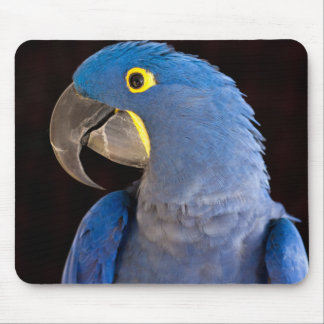 Princess Tara Mousepad Muismat