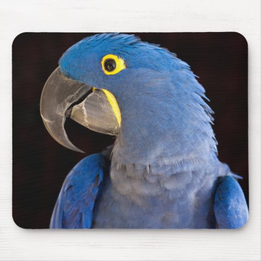 Princess Tara Mousepad Muismat (Voorkant)