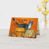 Princess Tiana's zoektocht naar de beste pompoen!  Kaart (Gele Bloem)