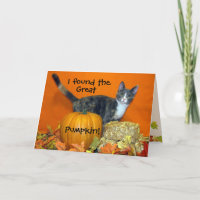 Princess Tiana's zoektocht naar de beste pompoen! 