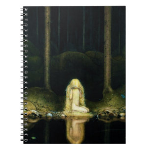 Princess Tuvstarr Notitieboek