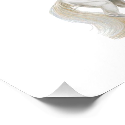 Princess Victoria Poster (Hoek)