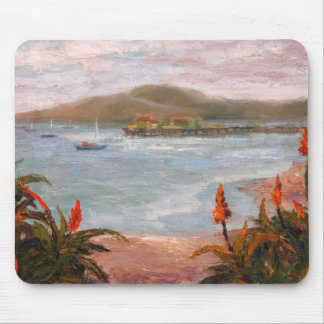 Princeton Harbour in Fog Muismat